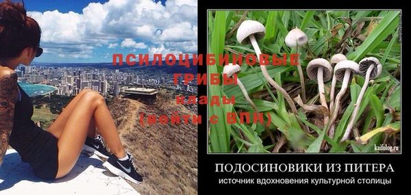 герыч Алапаевск