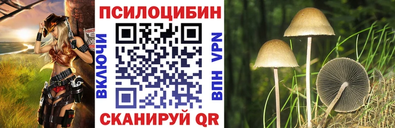 Галлюциногенные грибы Psilocybe  Ижевск 