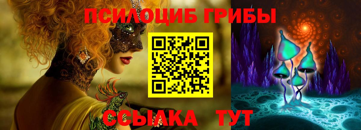 Псилоцибиновые грибы прущие грибы Ижевск